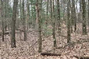 26641 60th Ave, Mattawan, MI 49071 - Photo 40