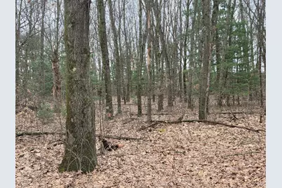 26641 60th Avenue, Mattawan, MI 49071 - Photo 42