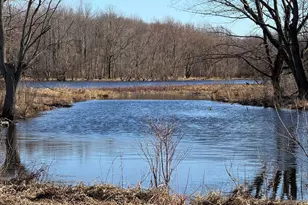 Vl E Dowling Rd, Dowling, MI 49050 - Photo 1