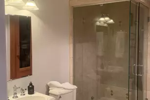 49601 Deer Run, Northville, MI 48167 - Photo 54