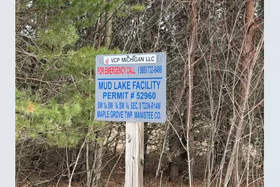 Pihl Road, Kaleva, MI 49645 - Photo 6