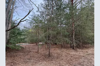 Pihl Road, Kaleva, MI 49645 - Photo 1