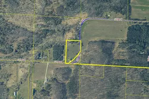 15450 Johnson Rd, Kaleva, MI 49645 - Photo 4