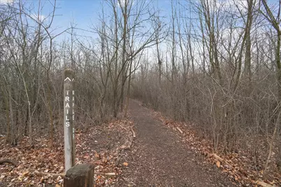 1411 Dicken Drive, Ann Arbor, MI 48103 - Photo 42