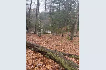 9240 W River Road, Irons, MI 49644 - Photo 12