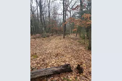 9240 W River Road, Irons, MI 49644 - Photo 8