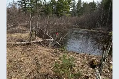 9240 W River Road, Irons, MI 49644 - Photo 4
