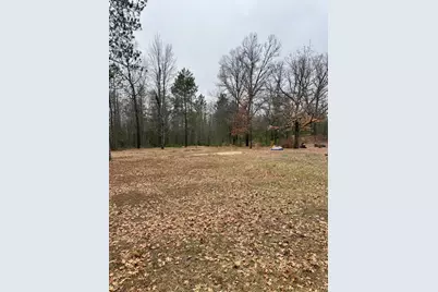 10365 Cadillac Drive, Lake, MI 48632 - Photo 4