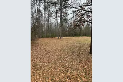 10365 Cadillac Drive, Lake, MI 48632 - Photo 18