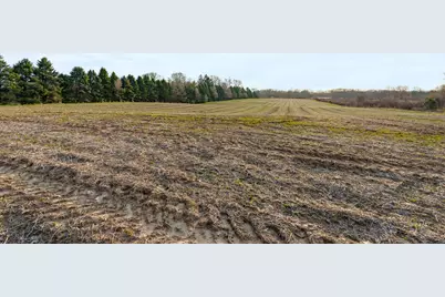 V/L Red Bud Trail, Berrien Springs, MI 49103 - Photo 10