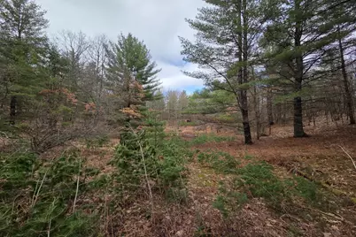 00 E Del Vandell Rd., Chase, MI 49623 - Photo 40