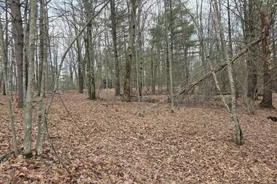 00 E Del Vandell Rd., Chase, MI 49623 - Photo 42