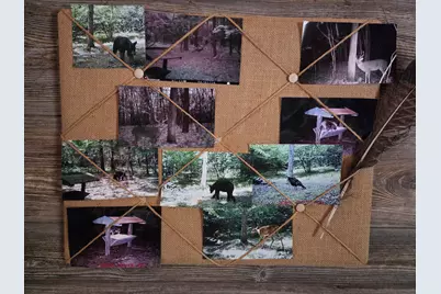 00 E Del Vandell Rd., Chase, MI 49623 - Photo 50