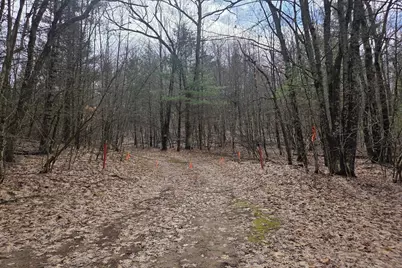 00 E Del Vandell Rd., Chase, MI 49623 - Photo 22