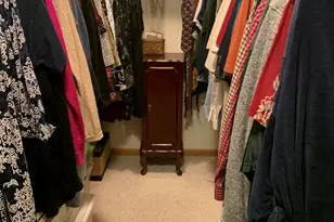 9895 Lakeview Dr, Berrien Springs, MI 49103 - Photo 18