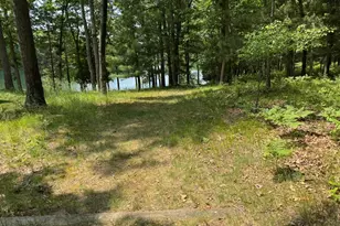 5859 N Utter Rd, Irons, MI 49644 - Photo 26