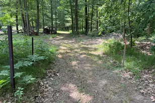 5859 N Utter Rd, Irons, MI 49644 - Photo 24