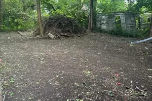 5071 St Clair St, Detroit, MI 48213 - Photo 4