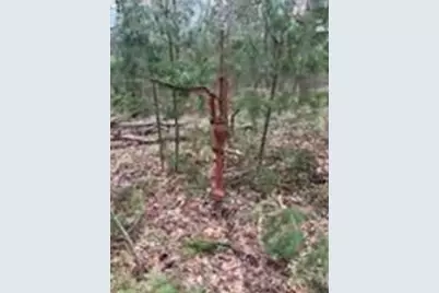 0 Linderman Road, Holton, MI 49425 - Photo 6