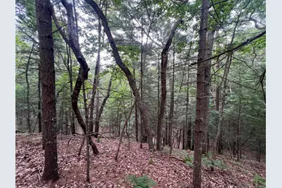 V/L A Lenox Ave, Pentwater, MI 49449 - Photo 4