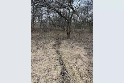 Vl Harper Road, Holt, MI 48842 - Photo 4