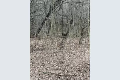 Vl Harper Road, Holt, MI 48842 - Photo 30