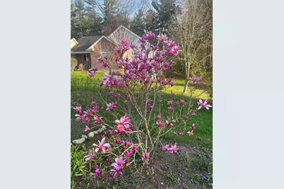 4197 Stoney Hill Drive, Kalamazoo, MI 49009 - Photo 4