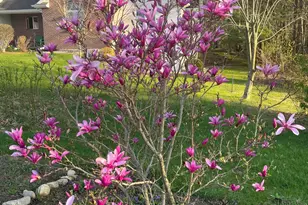 4197 Stoney Hill Dr, Kalamazoo, MI 49009 - Photo 4