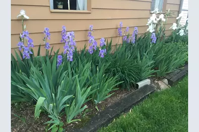 2437 Burns Avenue, Ypsilanti, MI 48197 - Photo 30