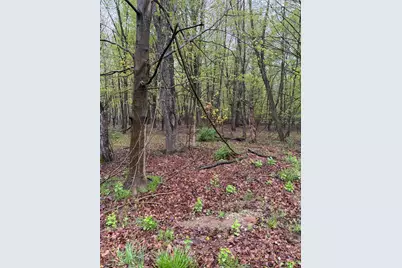 Lot 2 Christopher Lane, South Haven, MI 49090 - Photo 1
