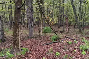 Lot 2 Christopher Ln, South Haven, MI 49090 - Photo 1