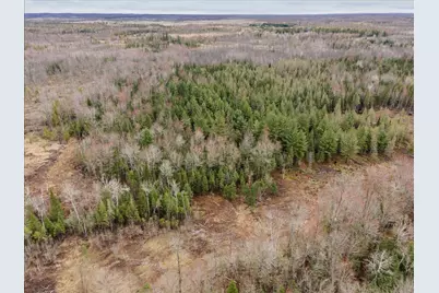 V/L N Townline Road, Houghton Lake, MI 48629 - Photo 10