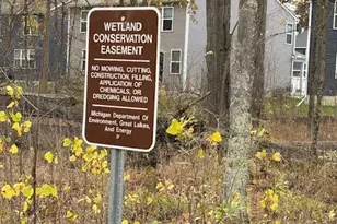 9272 Hemlock Ln, Dexter, MI 48130 - Photo 30