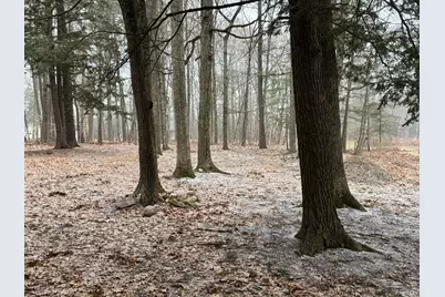 V/L S Teal Lane, Newaygo, MI 49337 - Photo 10