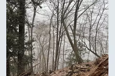 V/L S Teal Lane, Newaygo, MI 49337 - Photo 4