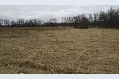 Vl Fenner Road, Laingsburg, MI 48848 - Photo 24