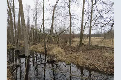 Vl Fenner Road, Laingsburg, MI 48848 - Photo 6
