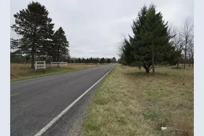 Vl Fenner Road, Laingsburg, MI 48848 - Photo 2