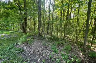 18965 N Coates Hwy, Brethren, MI 49619 - Photo 28