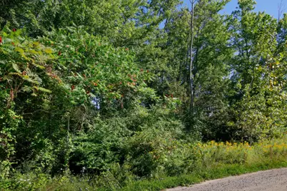 Maple Street #Lot 4 & 5, South Haven, MI 49090 - Photo 4