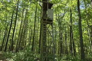 3371 Noble Rd, Oxford, MI 48370 - Photo 24