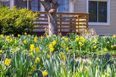 501 N Elm Street, Three Oaks, MI 49128 - Photo 10