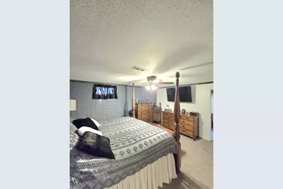 645 E Lyons Street, Lyons, MI 48851 - Photo 32