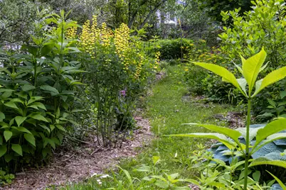 300 3rd Street, Ann Arbor, MI 48103 - Photo 62