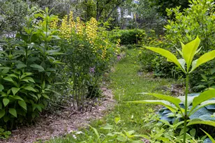 300 3rd St, Ann Arbor, MI 48103 - Photo 62