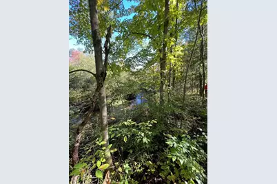 Vl E Alpine, Luther, MI 49656 - Photo 6