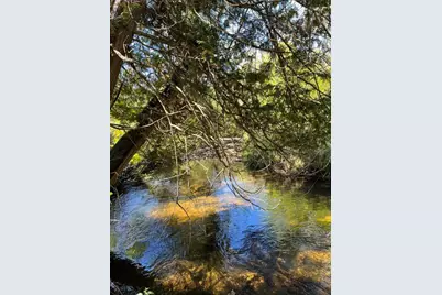 Vl E Alpine, Luther, MI 49656 - Photo 2