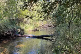 Vl E Alpine, Luther, MI 49656 - Photo 1