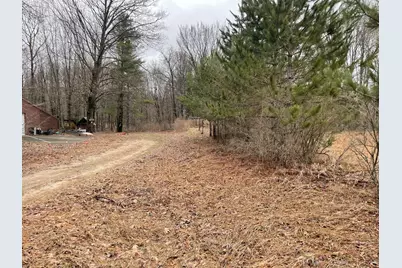 Vl E Alpine, Luther, MI 49656 - Photo 10