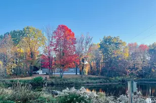 14321 N Chestnut Ave, Reed City, MI 49677 - Photo 1